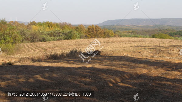 深秋田園
