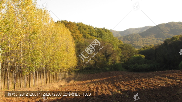 嘉山金秋