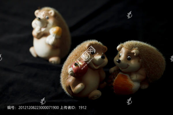 伙伴