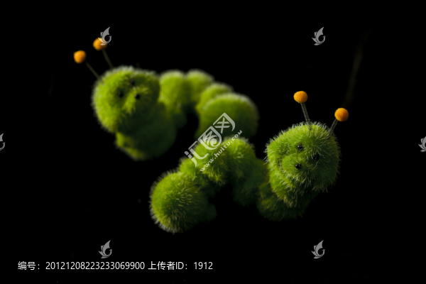 毛毛蟲(chóng)