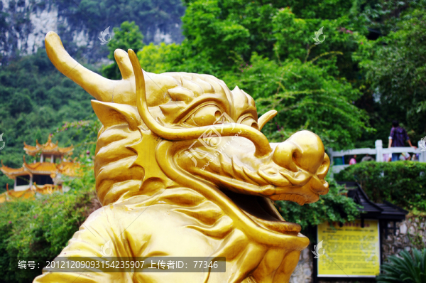 聚龍?zhí)?金色龍頭