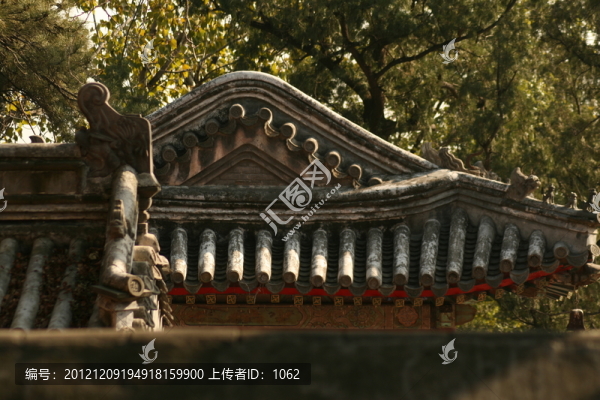 屋頂