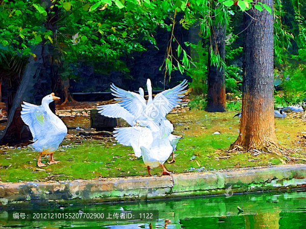 裝飾畫(huà),,鵝嬉圖
