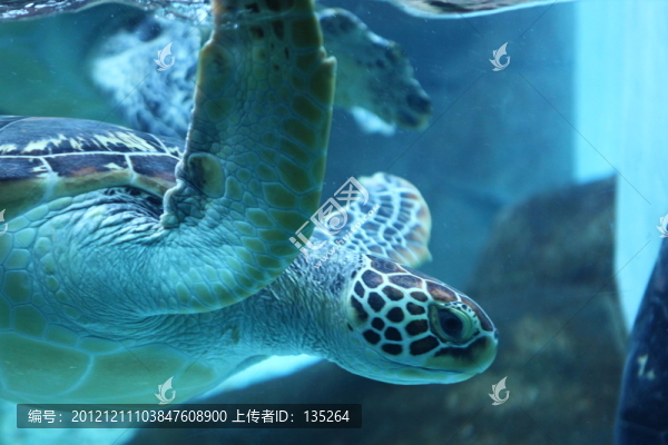 合肥海洋世界