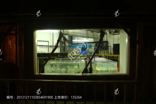合肥海洋世界