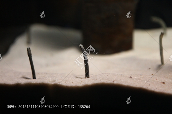 合肥海洋世界