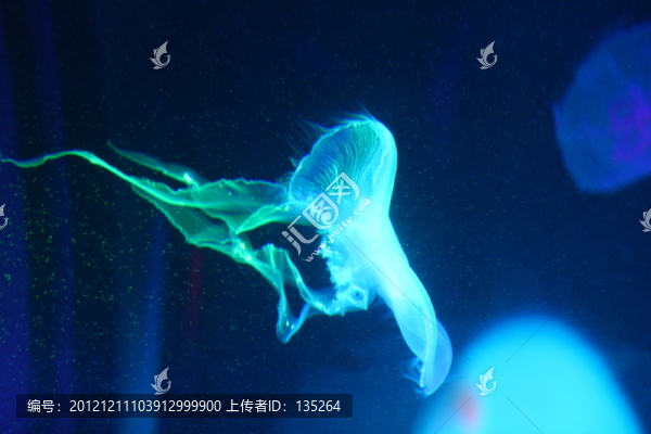 合肥海洋世界