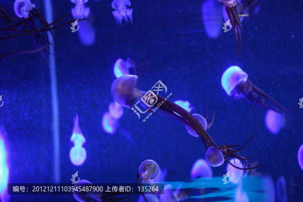 合肥海洋世界