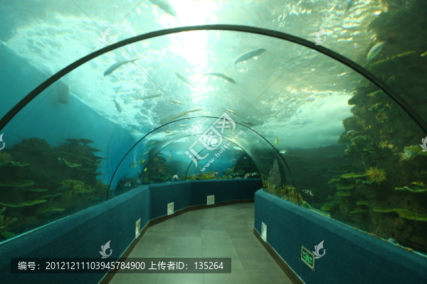 合肥海洋世界