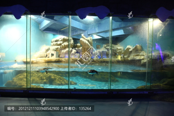 合肥海洋世界