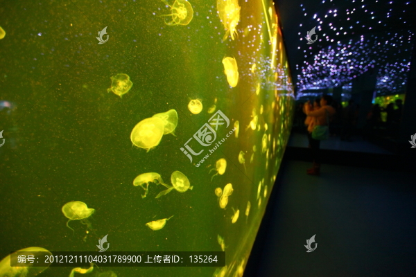 合肥海洋世界