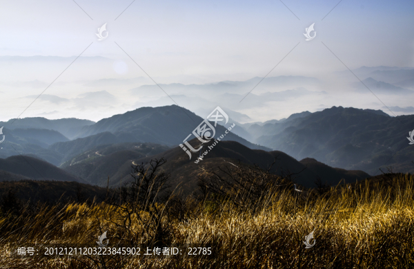 山坡上