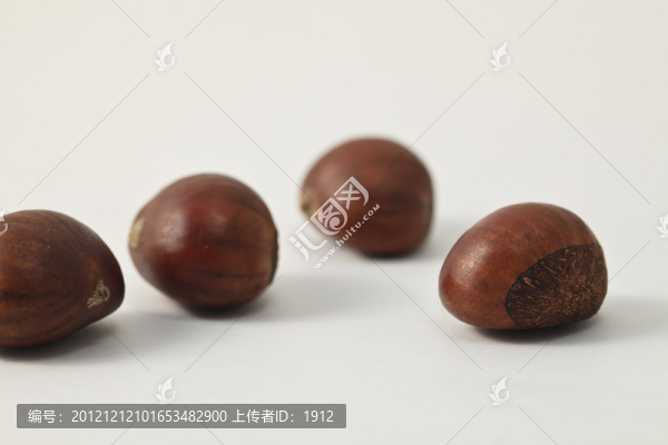 板栗