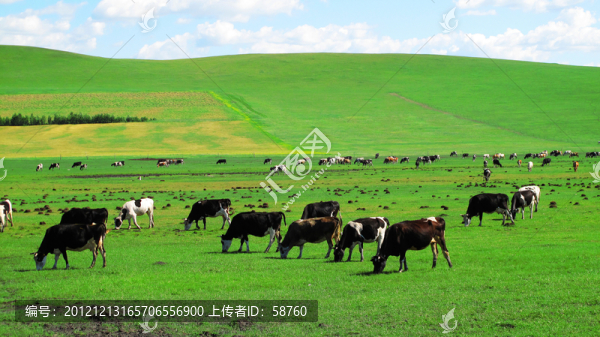 牧場(chǎng)
