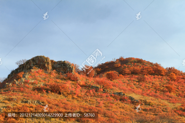 烏蘭布統(tǒng),秋山紅葉