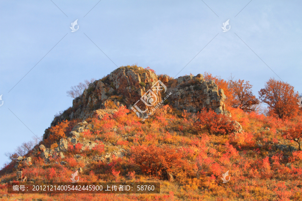 烏蘭布統(tǒng),秋山紅葉