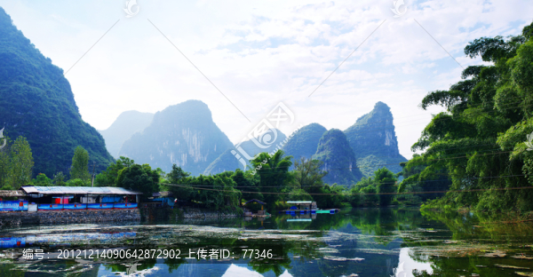 陽朔大榕樹景區(qū),山水風光