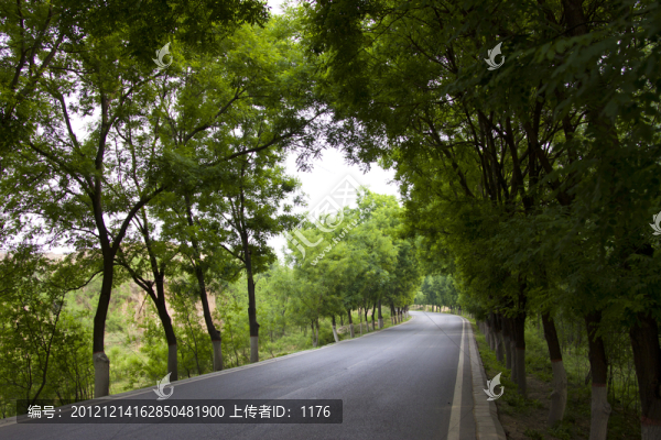 林中路