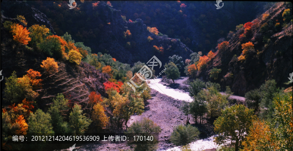吉里格朗溝秋色