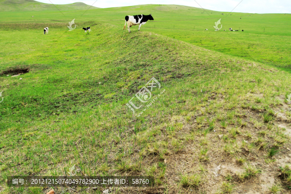 金界壕遺址戍堡,建筑臺基