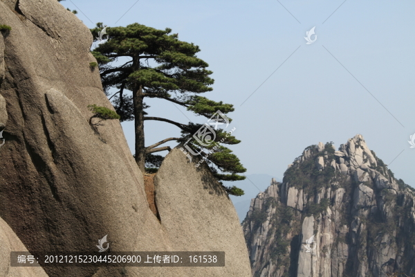 黃山奇松怪石