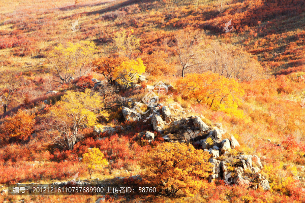 烏蘭布統(tǒng),濃郁秋色
