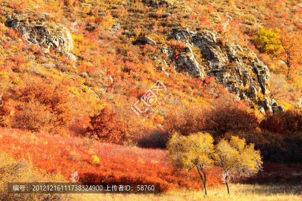 烏蘭布統(tǒng),濃郁的秋色