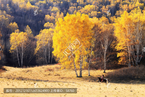 烏蘭布統(tǒng),濃郁之秋