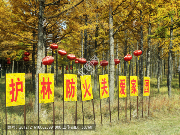 護(hù)林防火標(biāo)語