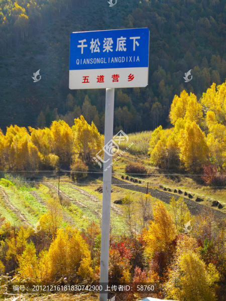 河北,千松梁風(fēng)景區(qū)
