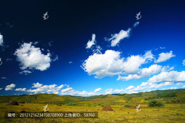 原野草甸