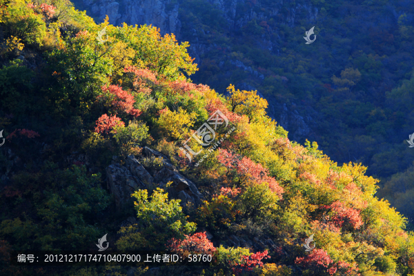 河北省豐寧,山谷秋色