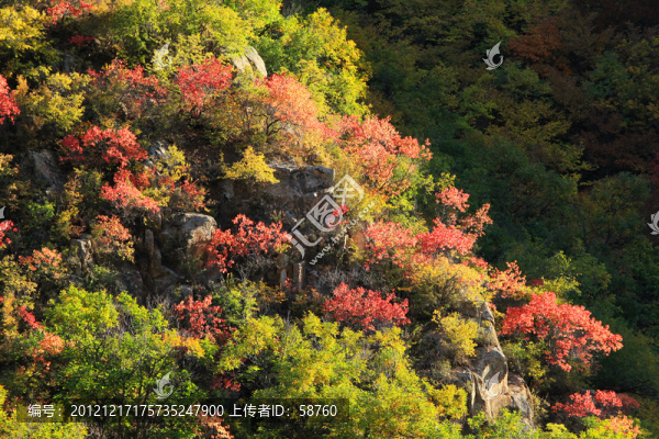 山谷秋色