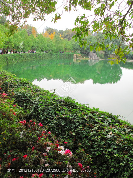 石林景區(qū),湖泊