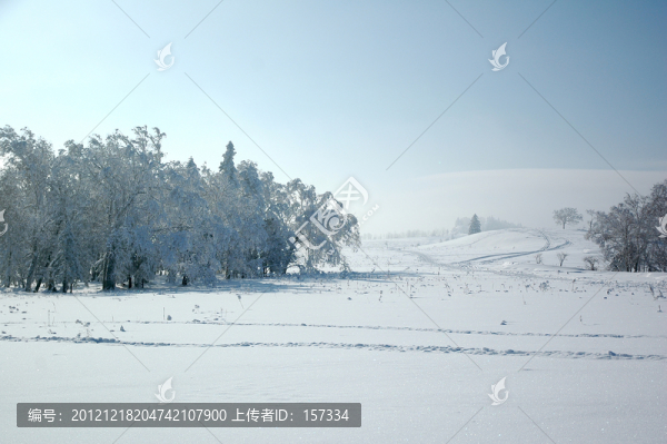茫茫雪海背景