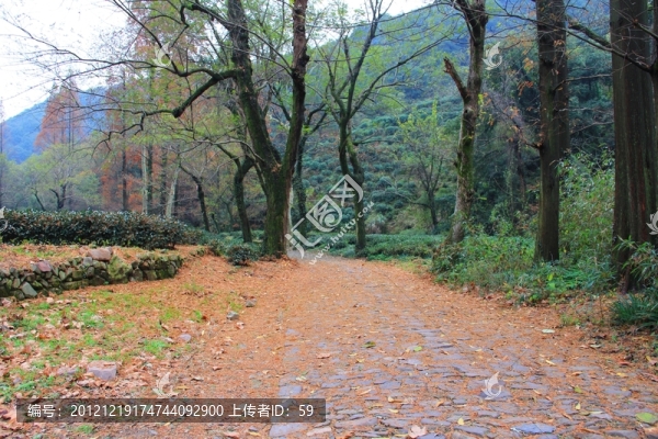 九溪風(fēng)景
