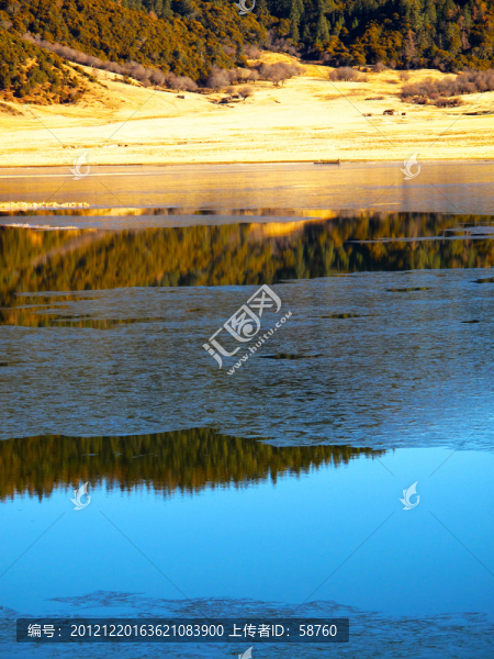 香格里拉,屬都湖森林秋色