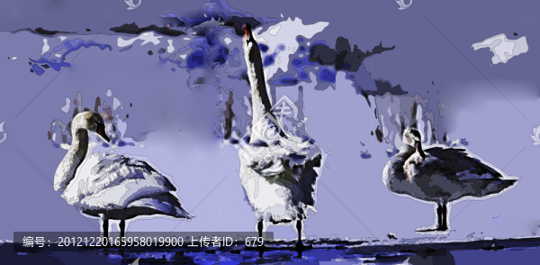 天鵝
