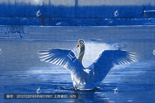 天鵝