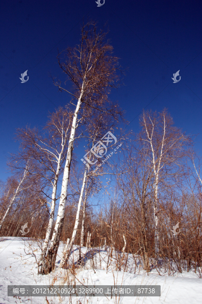 東北雪鄉(xiāng)