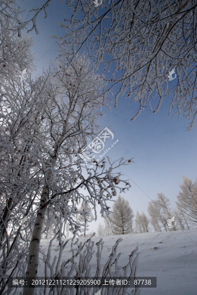 東北雪鄉(xiāng)