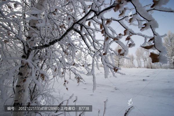 東北雪鄉(xiāng)