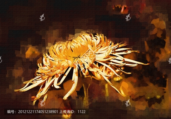 裝飾畫,,菊花