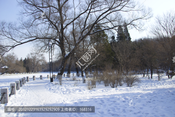 雪景