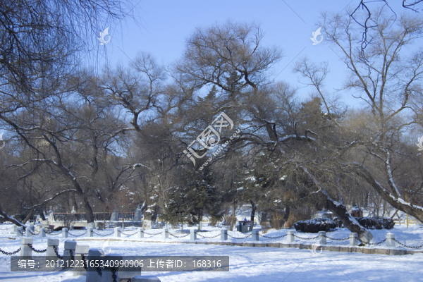 雪景