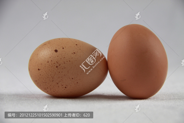 雞蛋