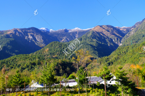 大理,蒼山應(yīng)樂蜂