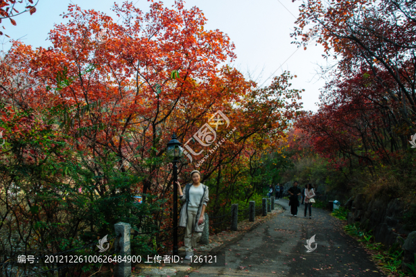 紅葉谷風光