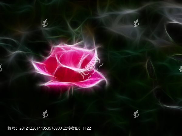 抽象畫(huà),花卉