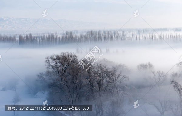 霧蒙蒙